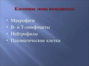 Клеточное звено иммунитета