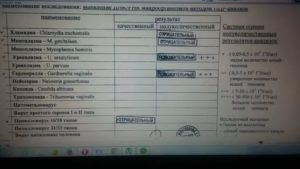 Уреаплазма уреалитикум при планировании