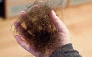 Белый клок волос на голове