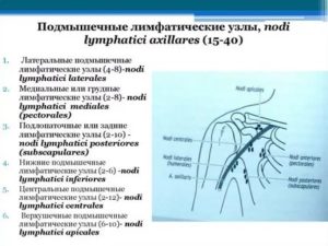 Подмышечные лимфатические узлы