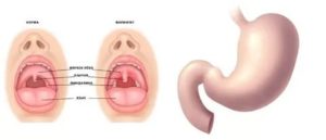 Ком в горле он то пропадает то появляется