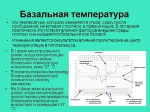Базальная температура, овуляция