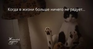 В жизни ничто не радует