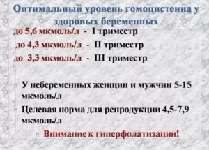 Гомоцистеин при планировании беременности