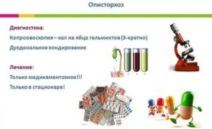 Описторхоз у ребёнка