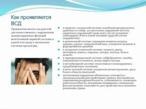 Постоянная тревога или ВСД
