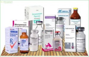 Антибиотики после гистероскопии