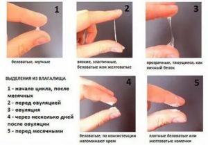 Нет выделений перед месячными