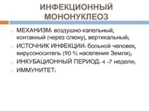 Иммунитет после мононуклеоза