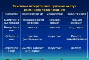 Повышенный прямой билирубин