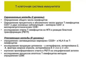 Клеточное звено иммунитета