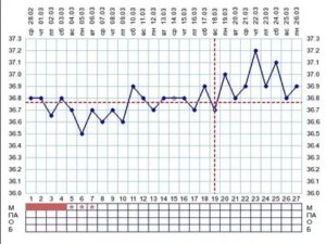 Ановуляторный цикл