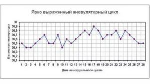 Ановуляторный цикл
