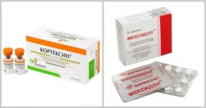 Совместимость лекарственных препаратов Кортексин и Мильгамма