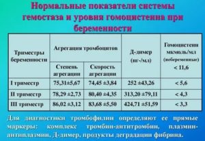 Гомоцистеин при планировании беременности