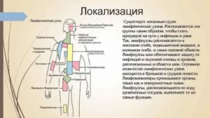 Отчего могут увеличиваться парааортальные лимфоузлы