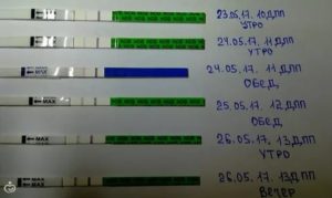 Мазня, тянет низ живота